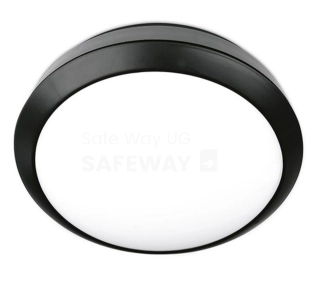 FL51067 Sicherheitsbeleuchtung schwarz Flurleuchte