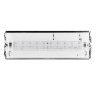 FL41009 220lm Sicherheitsbeleuchtung