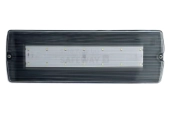 FL41070 Sicherheitsbeleuchtung Schwarz