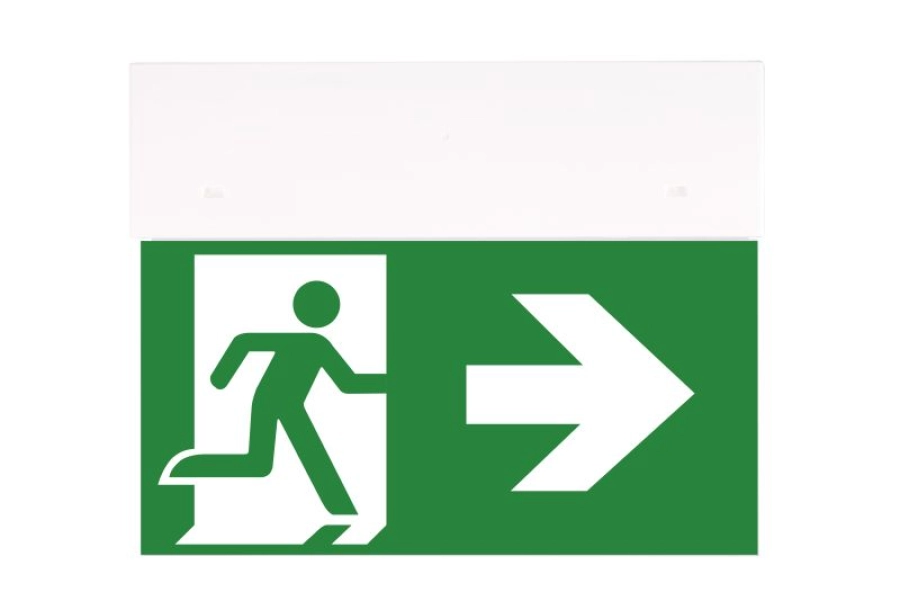 https://safeway-notbeleuchtung.de/storage/cache/1588/008d6174776e28115adb3ba63847937e/Directo%20Fluchtwegbeleuchtung.webp