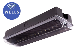 Flatline 150 -25°C CT schwarz - WELLS