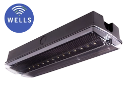 Flatline 150 -25°C CT schwarz - WELLS