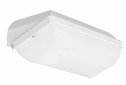 Ibiza 3CCT LED Treppenhausleuchte 5–10 W | IP66 IK10