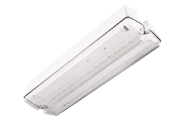 ORION II 400 CB IP65-Sicherheitsleuchte mit transparenter Abdeckung