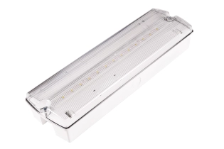 ORION II 400 CB IP65-Sicherheitsleuchte mit transparenter Abdeckung