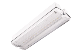 Weiße ORION II 250 CB IP65-Sicherheitsleuchte mit transparenter Abdeckung