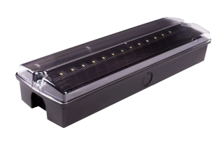 Schwarze ORION II 400 CB IP65-Sicherheitsleuchte mit transparenter Abdeckun
