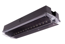 Schwarze ORION II 250 CB IP65-Sicherheitsleuchte mit transparenter Abdeckun
