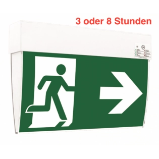Mannheim STS F1-U383AT2