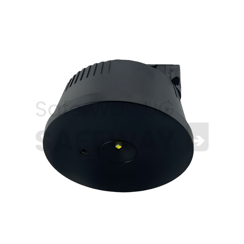 https://safeway-notbeleuchtung.de/storage/cache/652/b6095e0cabeee47a783e0dc2036c542c/Malaga%20Schienenleuchte%20Schwarz.png