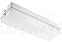 FL51030 Flurbeleuchtung